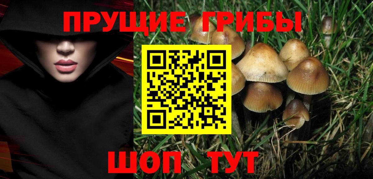 Галлюциногенные грибы мицелий Гай