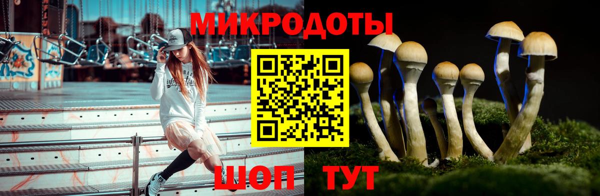 Гай  Галлюциногенные грибы Magic Shrooms  купить   Вход с VPN  Псилоцибиновые грибы GOLDEN TEACHER 